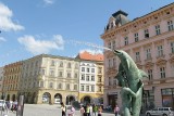 Olomouc očima dobrovolníka EVS