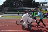 Strollering aneb Závody kočárků 2017 - Nové Město nad Metují