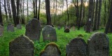 Archeologické léto 2020 - Židovský hřbitov v Pořejově